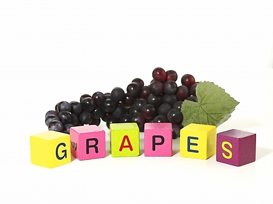 포토 JPG 문자 캐릭터 기호 알파벳 영어 교육 열매 음식 생활용품 과일 놀이 포도 교재 영어교육 누끼 사람없음 단어 놀이용품 블록 오브젝트 교육용품 유아교재 유아교구 단어조합 글자만들기 블록쌓기 나무블록 국내포토 식물 목재 쌓기 유아교육 조합 파일형식