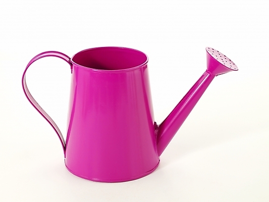 포토 JPG 생활용품 누끼 사람없음 물뿌리개 도구 오브젝트 원예용품 국내포토 파일형식