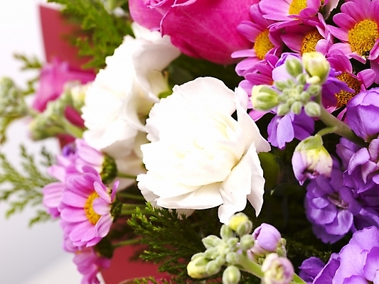 포토 JPG 스튜디오촬영 식물 꽃 꽃다발 여러송이 부분 기념 국화 선물 근접촬영 사람없음 장미 축하 감사 꽃바구니 생화 국내포토 감정 뷰포인트 다수 컨셉 실내 바구니 파일형식