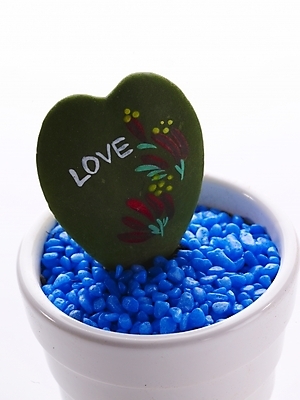 포토 JPG 스튜디오촬영 식물 화분 생활용품 프로포즈 부분 선인장 사람없음 인테리어 하트 오브젝트 하트선인장 국내포토 모양 디자인 실내 파일형식