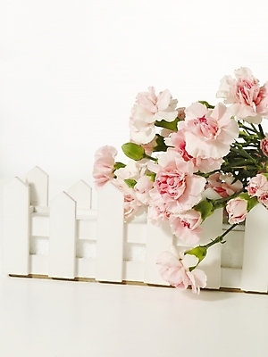 포토 JPG 스튜디오촬영 식물 꽃 꽃다발 여러송이 기념 선물 사람없음 울타리 인테리어 봄 카네이션 오브젝트 감사 국내포토 디자인 계절 감정 다수 실내 담장 파일형식