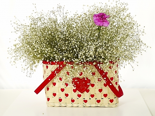 포토 JPG 스튜디오촬영 식물 꽃 꽃다발 여러송이 한송이 기념 선물 사랑 누끼 사람없음 장식 인테리어 봄 하트 꽃꽂이 카네이션 오브젝트 감사 꽃바구니 안개꽃 한다발 국내포토 모양 1 디자인 계절 감정 다수 실내 바구니 원예 송이 한해살이풀 파일형식