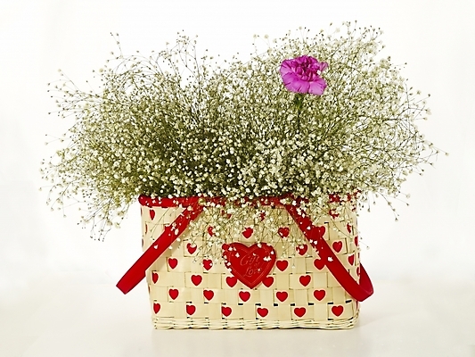 포토 JPG 스튜디오촬영 식물 꽃 꽃다발 여러송이 한송이 기념 선물 사랑 누끼 사람없음 장식 인테리어 봄 하트 꽃꽂이 카네이션 오브젝트 감사 꽃바구니 안개꽃 한다발 국내포토 모양 1 디자인 계절 감정 다수 실내 바구니 원예 송이 한해살이풀 파일형식