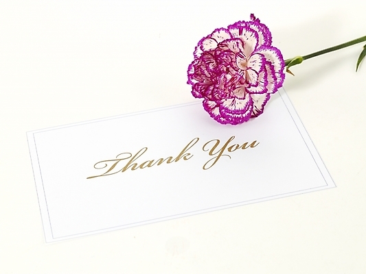 포토 JPG 스튜디오촬영 식물 꽃 한송이 문구용품 기념 선물 누끼 사람없음 봄 카네이션 감사 국내포토 카드프레임 1 계절 감정 프레임 실내 오브젝트 송이 파일형식