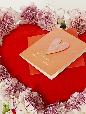 포토 JPG 스튜디오촬영 식물 꽃 여러송이 문구용품 기념 선물 사랑 근접촬영 사람없음 장식 봄 카네이션 감사 국내포토 카드프레임 계절 감정 뷰포인트 다수 프레임 실내 오브젝트 파일형식