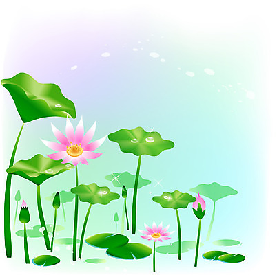 EPS 클립아트 식물 사계절 계절 꽃 호수 백그라운드 일러스트 자연 연꽃 풍경 사람없음 야외 여름 깨끗함 물방울 연못 이슬 연잎 국내일러스트 컨셉 잎 생태계 파일형식 벡터