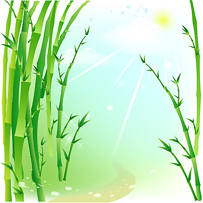 EPS 클립아트 나무 식물 사계절 계절 길 백그라운드 일러스트 자연 풍경 사람없음 야외 여름 햇빛 태양 대나무 대나무숲 국내일러스트 자연요소 숲 생태계 파일형식 벡터