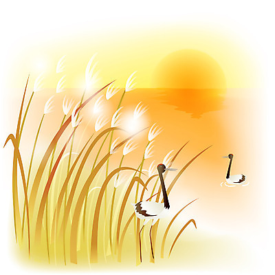 EPS 클립아트 식물 사계절 계절 백그라운드 일러스트 자연 조류 하늘 오리 갈대 풍경 사람없음 야외 강 태양 노을 일몰 학 가을 풀 수면 억새 갈대숲 가을배경 국내일러스트 자연요소 동물 물 숲 생태계 파일형식 벡터 가을_계절 갈대_식물