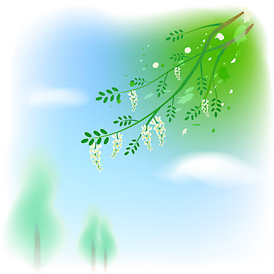 EPS 주간 나무 식물 구름 사계절 계절 꽃 백그라운드 일러스트 자연 하늘 풍경 사람없음 야외 여름 절기 향기 입하 아카시아 국내일러스트 자연요소 생태계 냄새 파일형식 벡터