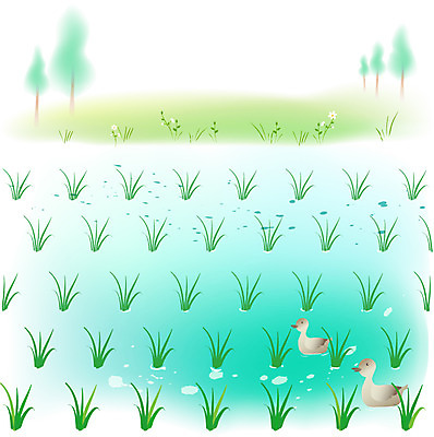 EPS 주간 나무 사계절 계절 백그라운드 일러스트 자연 오리 논 풍경 사람없음 야외 여름 농촌 시골 절기 모내기 소만 국내일러스트 자연요소 식물 농업 조류 생태계 파일형식 벡터