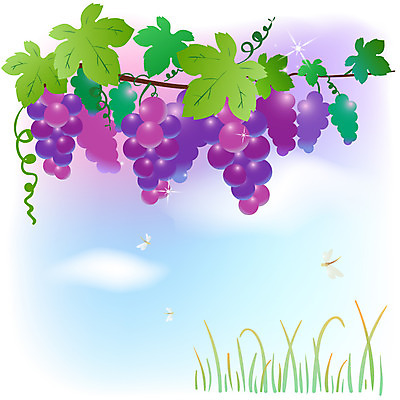 EPS 주간 식물 구름 사계절 계절 열매 여러송이 백그라운드 과일 일러스트 자연 하늘 포도 풍경 사람없음 야외 반짝임 농작물 가을 풀 과수원 절기 고추잠자리 가을배경 국내일러스트 자연요소 다수 농업 모션 잠자리 생태계 파일형식 벡터 가을_계절