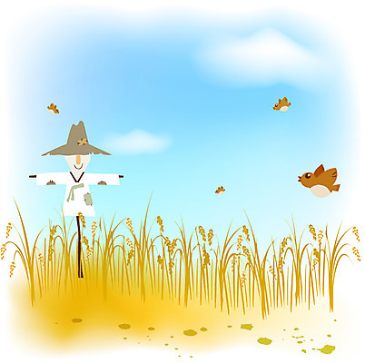 EPS 주간 식물 구름 사계절 계절 음식 다수 백그라운드 농업 일러스트 자연 조류 하늘 곡류 논 고개숙이기 풍경 초원 사람없음 야외 농작물 수확 벼 가을 농촌 시골 절기 허수아비 참새 추분 무르익은 가을배경 국내일러스트 자연요소 동물 산업 숙이기 생태계 파일형식 벡터 가을_계절