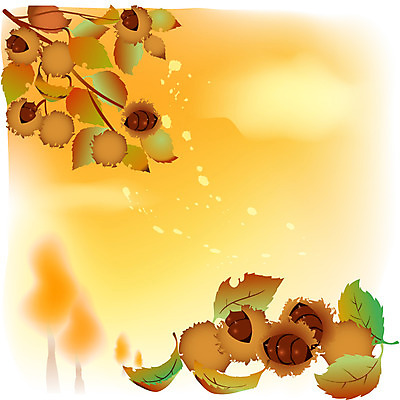 EPS 식물 사계절 계절 열매 음식 백그라운드 낙엽 일러스트 자연 나뭇잎 풍경 사람없음 야외 견과류 가을 밤 밤송이 절기 밤껍질 상강 가을배경 국내일러스트 잎 껍질 밤_견과류 생태계 파일형식 벡터 가을_계절