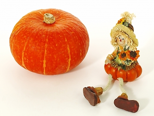 포토 JPG 스튜디오촬영 인형 컬러 채소 식재료 호박 실내 누끼 근접촬영 사람없음 장식 주황색 오브젝트 컬러푸드 국내포토 뷰포인트 내부 파일형식