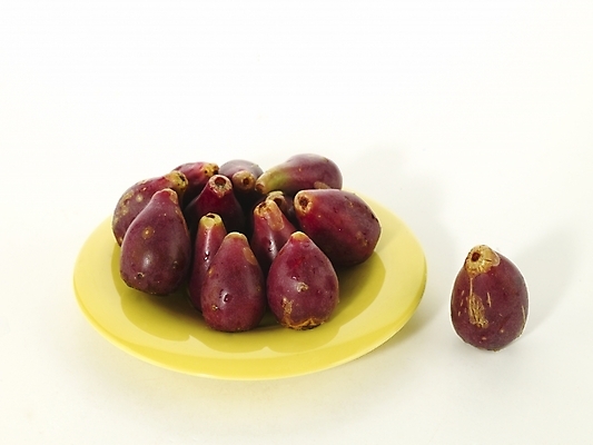 포토 JPG 스튜디오촬영 식물 그릇 접시 열매 컬러 식재료 실내 누끼 근접촬영 사람없음 보라색 컬러푸드 백년초 백련초 국내포토 식기 뷰포인트 파일형식