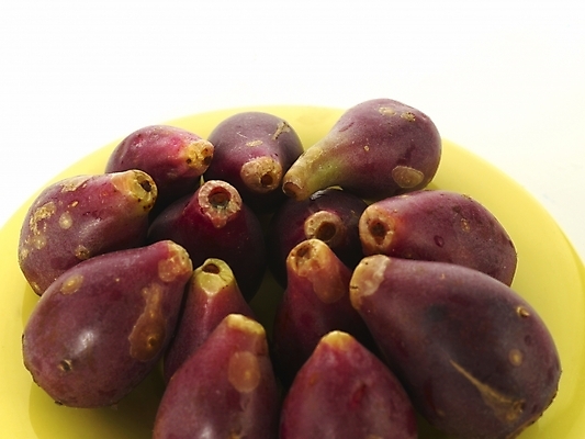 포토 JPG 스튜디오촬영 식물 그릇 접시 열매 컬러 식재료 실내 근접촬영 사람없음 보라색 컬러푸드 백년초 백련초 국내포토 식기 뷰포인트 파일형식