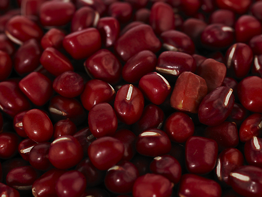 포토 JPG 스튜디오촬영 컬러 식재료 곡류 실내 근접촬영 사람없음 갈색 컬러푸드 팥 붉은팥 국내포토 뷰포인트 내부 파일형식