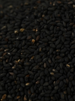 포토 JPG 스튜디오촬영 컬러 식재료 곡류 실내 근접촬영 사람없음 검은색 컬러푸드 검은깨 국내포토 뷰포인트 깨 파일형식