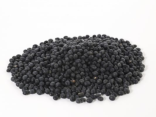 포토 JPG 스튜디오촬영 컬러 식재료 콩 곡류 실내 누끼 사람없음 검은색 컬러푸드 검은콩 검정콩 국내포토 내부 파일형식