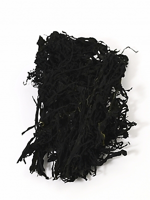 포토 JPG 스튜디오촬영 식물 컬러 식재료 건조 실내 누끼 사람없음 검은색 해조류 해양식물 컬러푸드 미역 건미역 국내포토 수중식물 파일형식