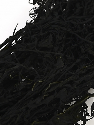 포토 JPG 스튜디오촬영 식물 컬러 식재료 건조 실내 근접촬영 사람없음 검은색 해조류 해양식물 컬러푸드 미역 건미역 국내포토 뷰포인트 수중식물 파일형식