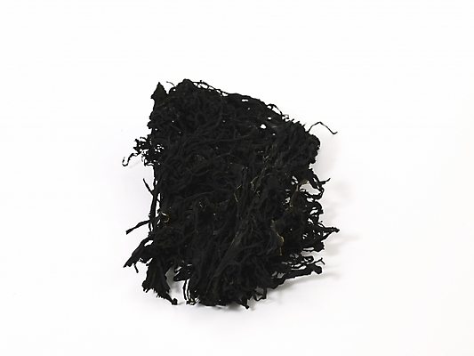 포토 JPG 스튜디오촬영 식물 컬러 식재료 건조 실내 누끼 사람없음 검은색 해조류 해양식물 컬러푸드 미역 건미역 국내포토 수중식물 파일형식