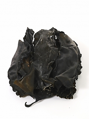 포토 JPG 스튜디오촬영 식물 컬러 식재료 건조 실내 누끼 사람없음 검은색 해조류 해양식물 컬러푸드 다시마 국내포토 수중식물 파일형식