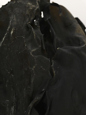 포토 JPG 스튜디오촬영 식물 컬러 식재료 건조 실내 근접촬영 사람없음 검은색 해조류 해양식물 컬러푸드 다시마 국내포토 뷰포인트 수중식물 파일형식