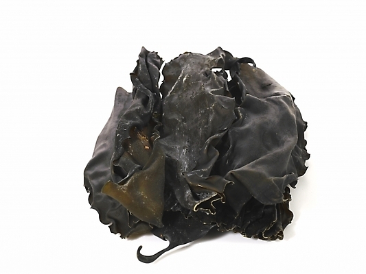 포토 JPG 스튜디오촬영 식물 컬러 식재료 건조 실내 누끼 사람없음 검은색 해조류 해양식물 컬러푸드 다시마 국내포토 수중식물 파일형식