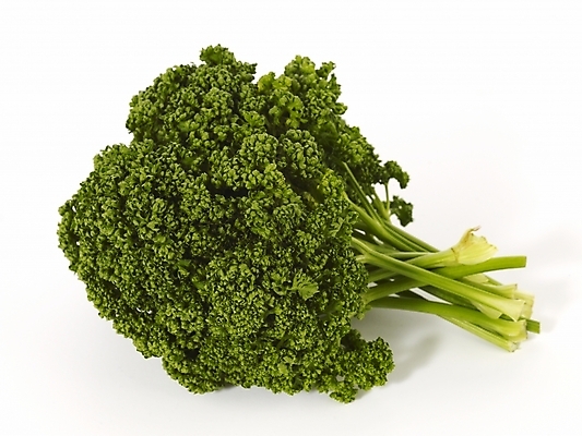 포토 JPG 스튜디오촬영 컬러 채소 식재료 실내 파슬리 누끼 근접촬영 사람없음 초록색 컬러푸드 국내포토 뷰포인트 내부 파일형식