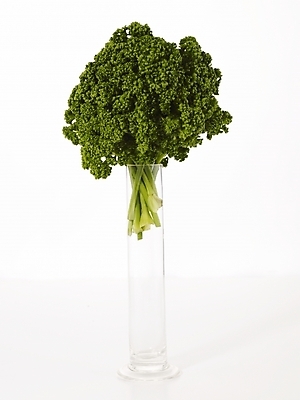 포토 JPG 스튜디오촬영 컬러 채소 식재료 유리병 실내 파슬리 누끼 사람없음 초록색 컬러푸드 유리관 국내포토 병_용기 실험기구 내부 파일형식