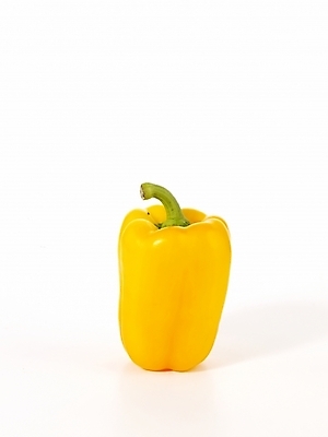 포토 JPG 스튜디오촬영 컬러 채소 식재료 피망 파프리카 실내 누끼 사람없음 한개 노란색 컬러푸드 국내포토 1 내부 파일형식