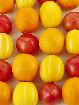 포토 JPG 스튜디오촬영 식물 백그라운드 토마토 오렌지 과일 디저트 근접촬영 사람없음 하이앵글 유기농 컬러푸드 참외 무농약 제철 제철과일 국내포토 웰빙 음식 뷰포인트 채소 실내 파일형식