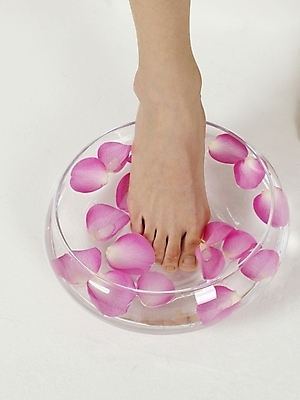 포토 JPG 스튜디오촬영 여자 꽃잎 부분 발 한명 사람 20대 성인 신체부위 뷰티 장미 향기 발마사지 족욕 여자만 여자한명만 성인여자만 청년만 청년여자만 성인한명만 청년여자한명만 성인여자한명만 성인만 국내포토 1 꽃 실내 청년 마사지 냄새 파일형식