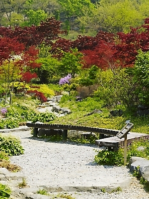 포토 JPG 나무 식물 사계절 계절 공원 꽃 백그라운드 벤치 의자 봄꽃 자연 휴식 산 풍경 사람없음 야외 봄풍경 봄 돌_바위 바위 숲 식물원 수목원 휴식처 국내포토 공공시설 가구 컨셉 생태계 파일형식