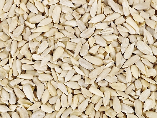 포토 JPG 스튜디오촬영 식물 컬러 백그라운드 실내 근접촬영 사람없음 하이앵글 흰색 컬러푸드 해바라기씨 국내포토 뷰포인트 씨앗 내부 파일형식