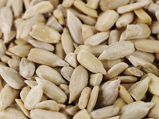 포토 JPG 스튜디오촬영 식물 컬러 백그라운드 실내 근접촬영 사람없음 하이앵글 견과류 흰색 컬러푸드 해바라기씨 국내포토 뷰포인트 씨앗 내부 파일형식