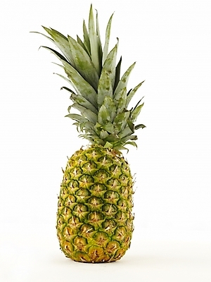 포토 JPG 스튜디오촬영 식물 음식 과일 디저트 누끼 사람없음 파인애플 국내포토 실내 열대과일 파일형식