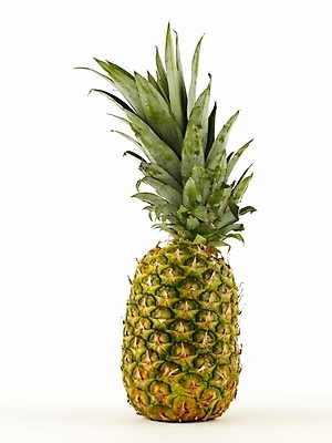 포토 JPG 스튜디오촬영 식물 음식 과일 디저트 누끼 사람없음 파인애플 국내포토 실내 열대과일 파일형식