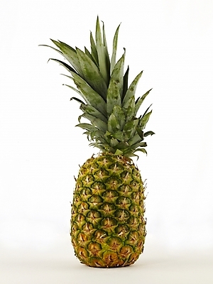 포토 JPG 스튜디오촬영 식물 음식 과일 디저트 누끼 사람없음 파인애플 국내포토 실내 열대과일 파일형식