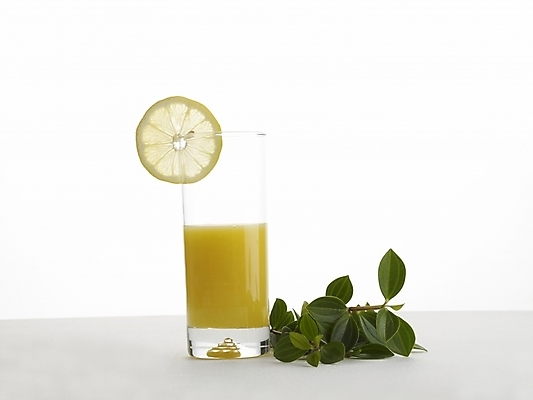 포토 JPG 스튜디오촬영 음료 음식 과일 디저트 잔 누끼 사람없음 장식 컵 주스 과일주스 오렌지주스 레몬 국내포토 식기 실내 파일형식