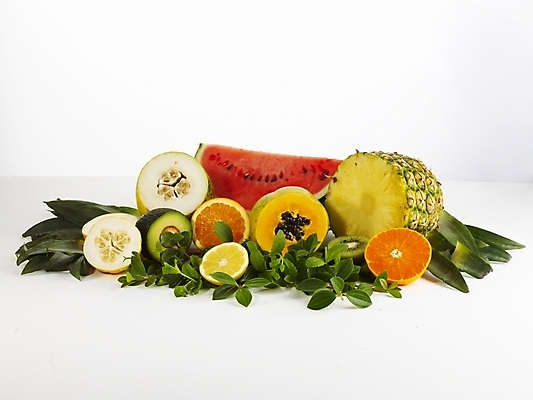 포토 JPG 스튜디오촬영 식물 음식 오렌지 과일 디저트 여름음식 수박 키위 사람없음 레몬 파인애플 참외 제철 제철음식 제철과일 국내포토 실내 열대과일 파일형식 여름_계절