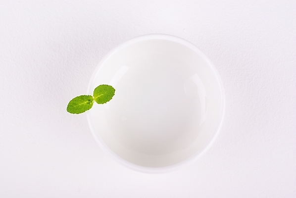 포토 JPG 스튜디오촬영 식물 그릇 웰빙 백그라운드 잎 잔 누끼 사람없음 컵 초록색 연두색 새싹 깨끗함 신선 순수 모던 친환경 자연친화적 국내포토 식기 컬러 컨셉 실내 환경 파일형식