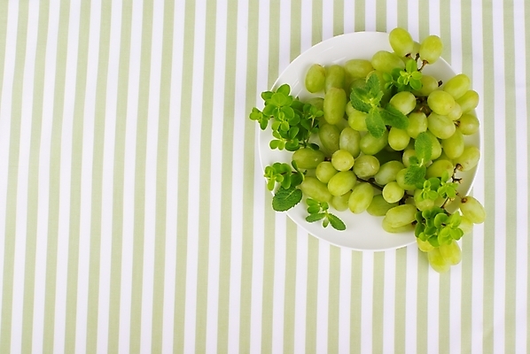 포토 JPG 스튜디오촬영 식물 웰빙 백그라운드 잎 과일 포도 사람없음 초록색 연두색 신선 모던 친환경 유기농 자연친화적 국내포토 컬러 실내 환경 파일형식