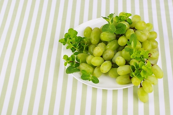 포토 JPG 스튜디오촬영 식물 접시 웰빙 백그라운드 잎 과일 포도 사람없음 초록색 연두색 줄무늬 신선 모던 친환경 유기농 청포도 자연친화적 국내포토 식기 컬러 무늬 실내 환경 파일형식