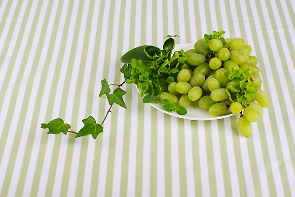 포토 JPG 스튜디오촬영 식물 접시 웰빙 백그라운드 잎 과일 포도 사람없음 초록색 연두색 줄무늬 신선 모던 친환경 유기농 청포도 아이비 자연친화적 국내포토 식기 컬러 무늬 실내 환경 파일형식