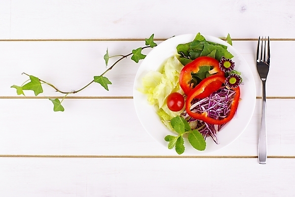 포토 JPG 스튜디오촬영 식기 접시 웰빙 음식 백그라운드 포크 잎 채소 서양음식 건강 사람없음 초록색 연두색 깨끗함 샐러드 신선 모던 친환경 유기농 아이비 패널 자연친화적 국내포토 식물 컬러 컨셉 실내 환경 파일형식