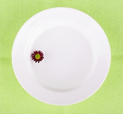 포토 JPG 스튜디오촬영 식물 접시 웰빙 꽃잎 꽃 백그라운드 국화 건강 누끼 사람없음 초록색 연두색 모던 친환경 자연친화적 국내포토 식기 컬러 실내 환경 파일형식