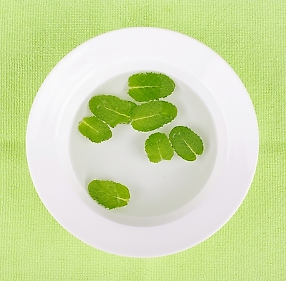 포토 JPG 스튜디오촬영 식물 접시 웰빙 백그라운드 잎 건강 사람없음 초록색 연두색 물 깨끗함 신선 모던 친환경 유기농 자연친화적 국내포토 자연요소 식기 컬러 컨셉 실내 환경 파일형식