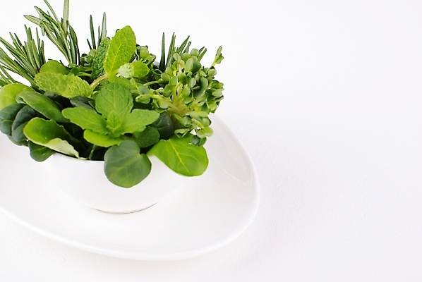 포토 JPG 스튜디오촬영 식물 웰빙 백그라운드 잎 건강 사람없음 초록색 연두색 깨끗함 신선 커피잔 찻잔 허브 모던 친환경 유기농 자연친화적 국내포토 커피 컬러 컨셉 잔 실내 환경 파일형식